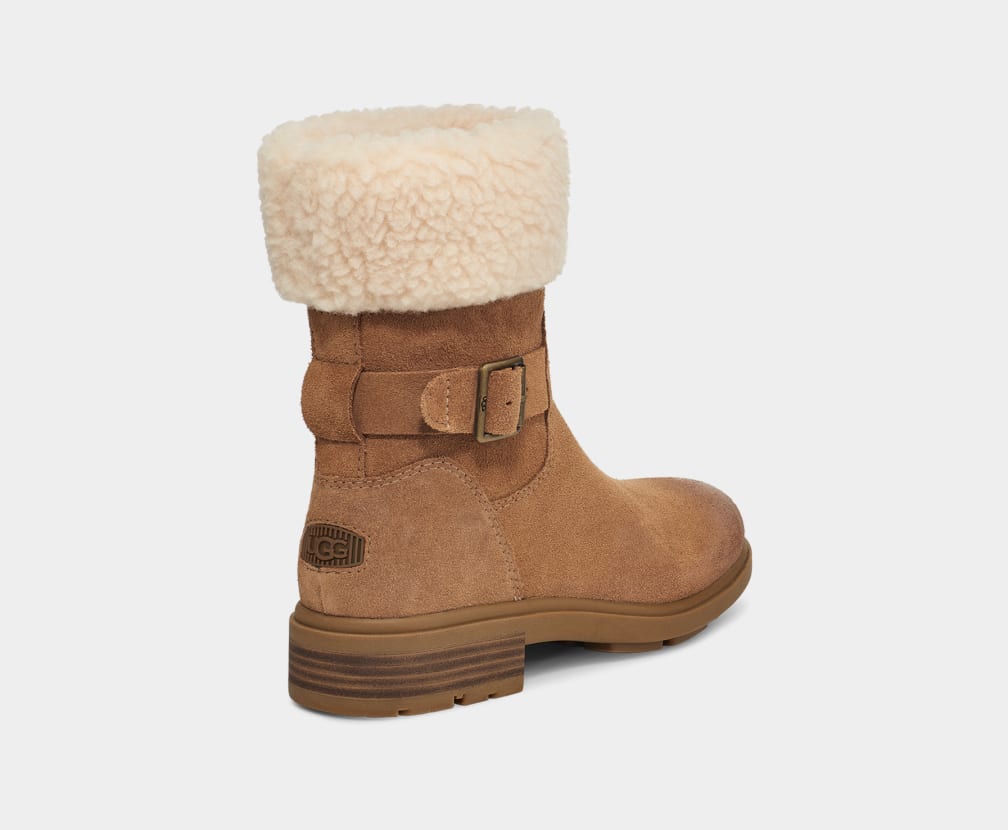 Brown Ugg Harrison Cuff Women Boots | 389406-WPH