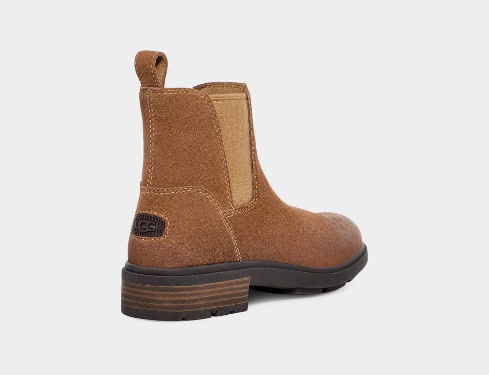 Brown Ugg Harrison Women Chelsea Boots | 968241-UNE