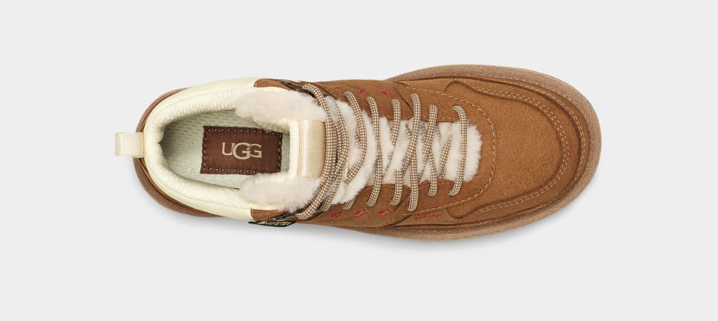 Brown Ugg Highland Hi GoreTex Women Sneakers | 698410-KGY