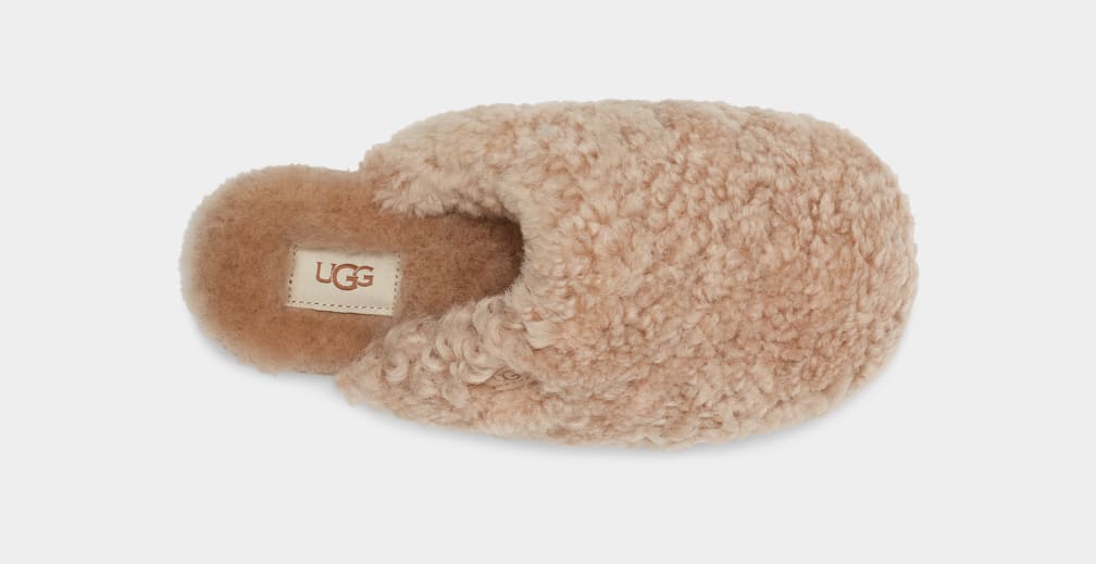 Brown Ugg Maxi Curly Women Slippers | 518374-BSG