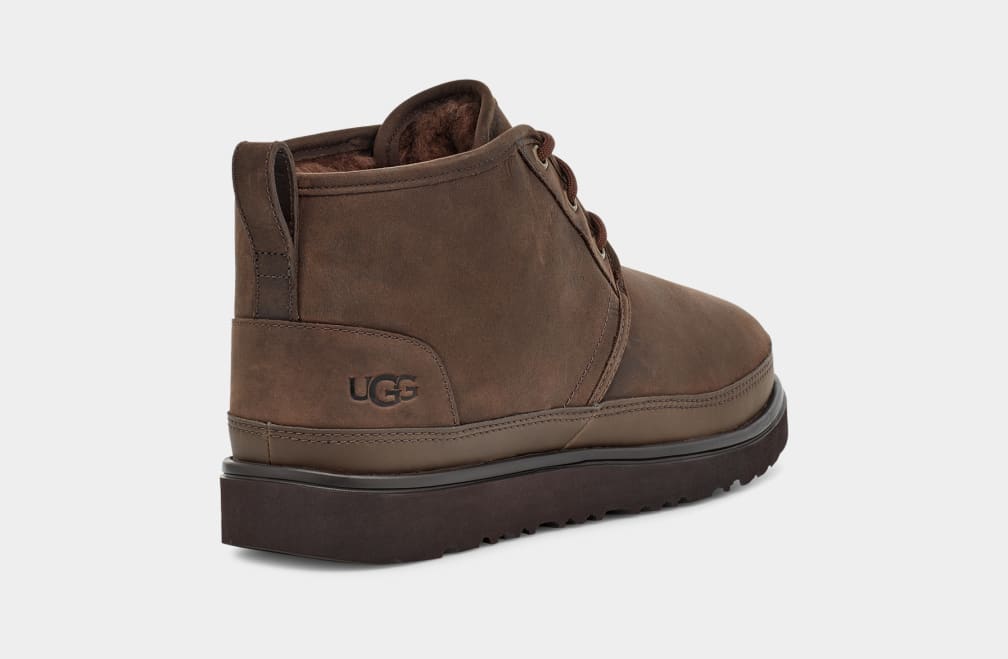 Brown Ugg Neumel Weather II Men Boots | 360859-INE