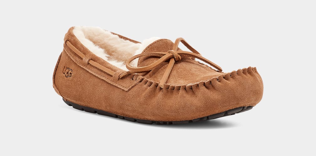 Brown Ugg Olsen Men Moccasins | 092485-GIK