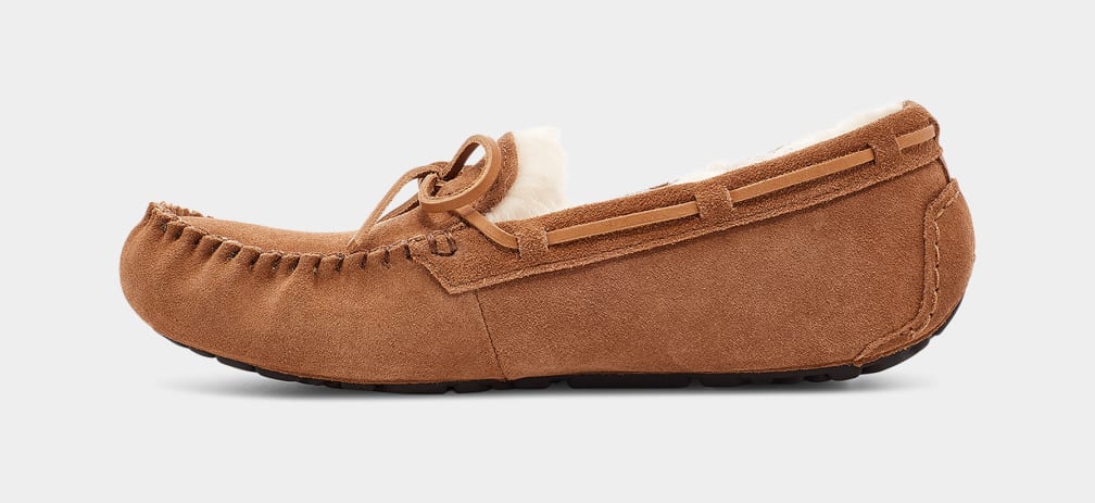 Brown Ugg Olsen Men Moccasins | 092485-GIK