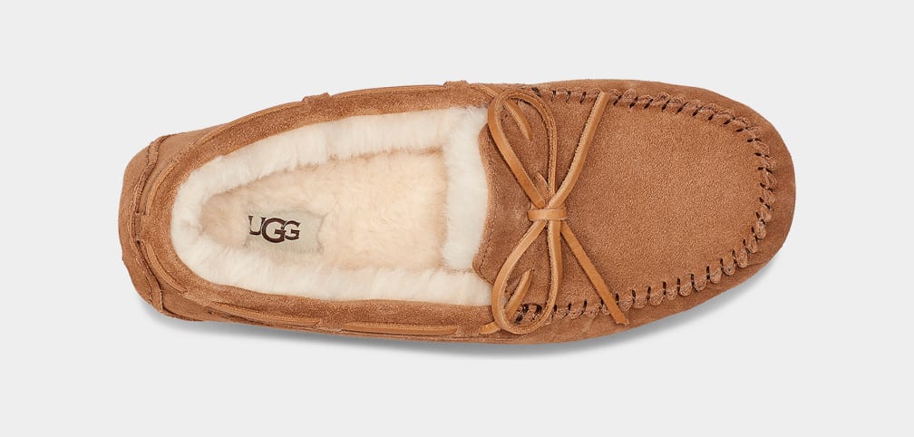 Brown Ugg Olsen Men Moccasins | 092485-GIK