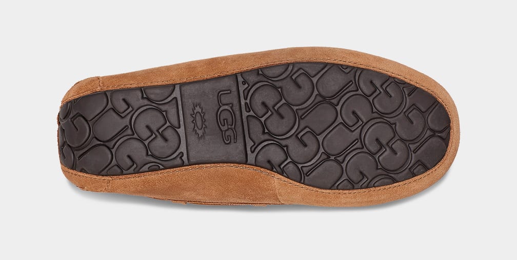 Brown Ugg Olsen Men Moccasins | 092485-GIK