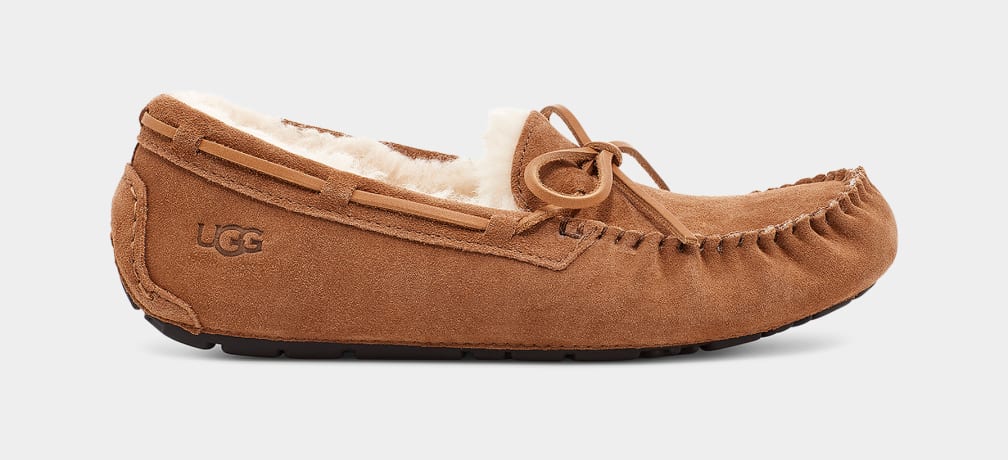 Brown Ugg Olsen Men Moccasins | 092485-GIK