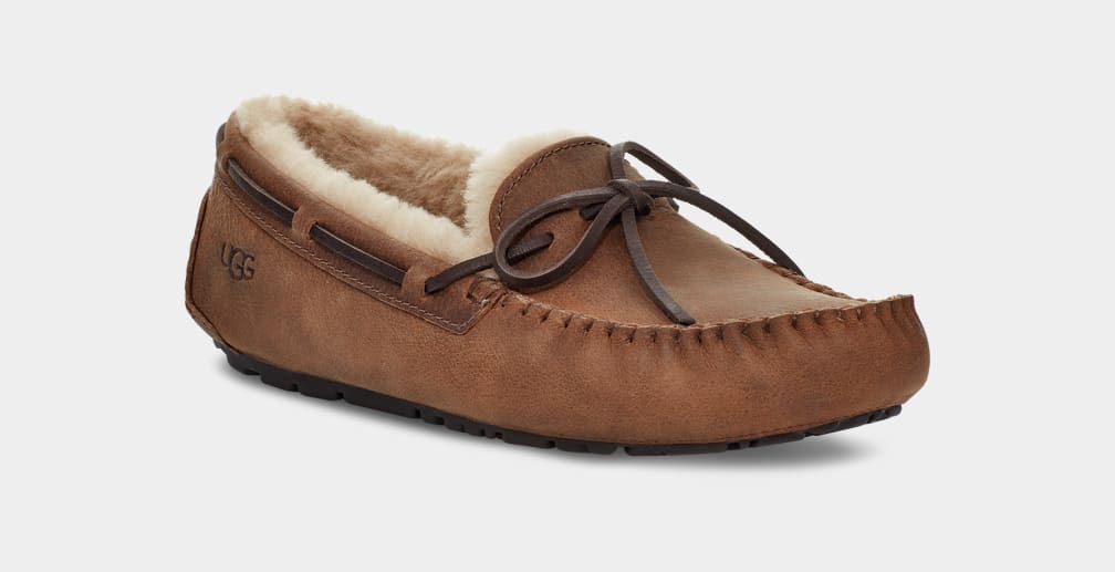 Brown Ugg Olsen Men Moccasins | 874035-WHP