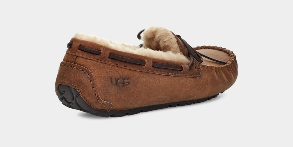 Brown Ugg Olsen Men Moccasins | 874035-WHP