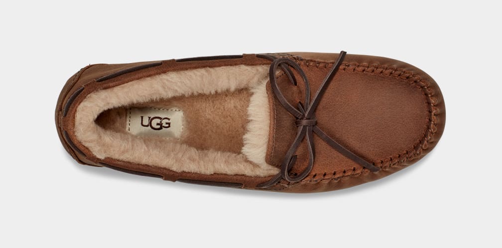 Brown Ugg Olsen Men Moccasins | 874035-WHP