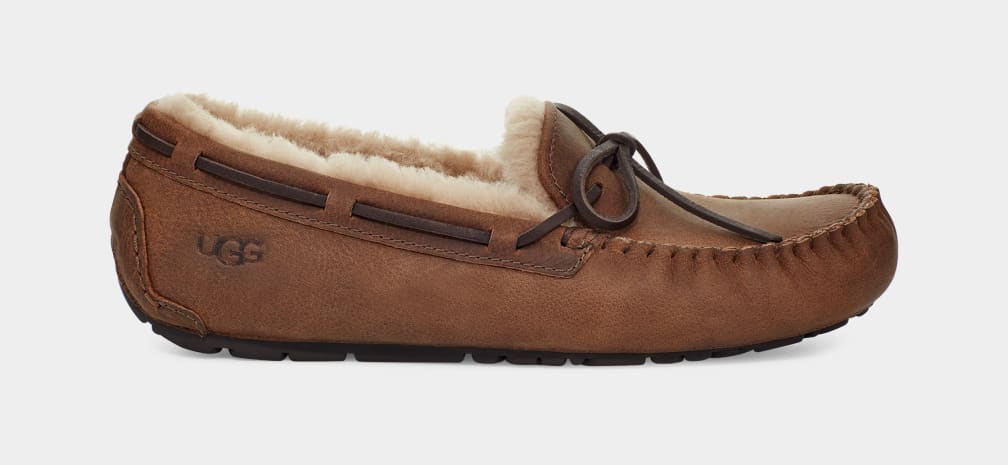 Brown Ugg Olsen Men Moccasins | 874035-WHP