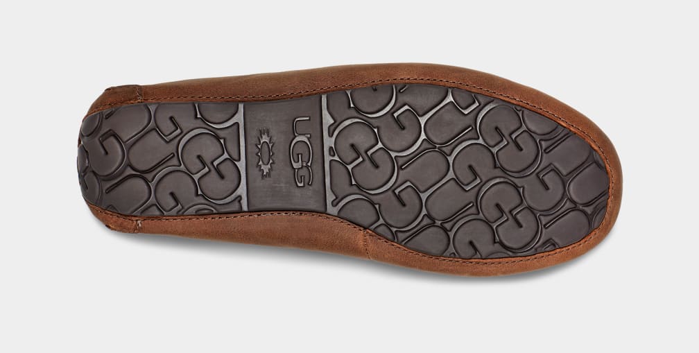 Brown Ugg Olsen Men Slippers | 209385-PHC