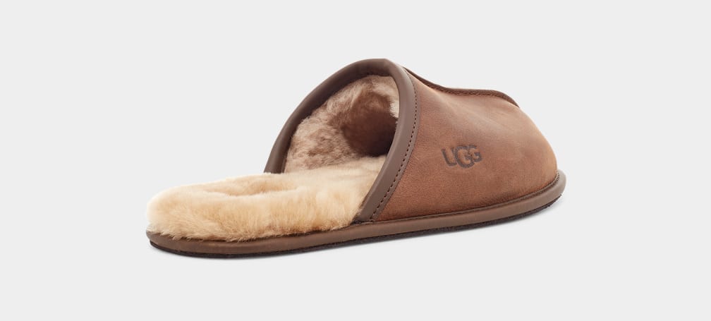 Brown Ugg Scuff Leather Men Slippers | 310892-TOV