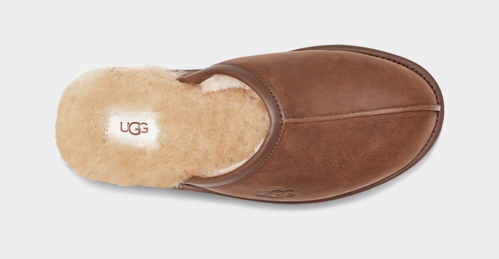 Brown Ugg Scuff Leather Men Slippers | 310892-TOV