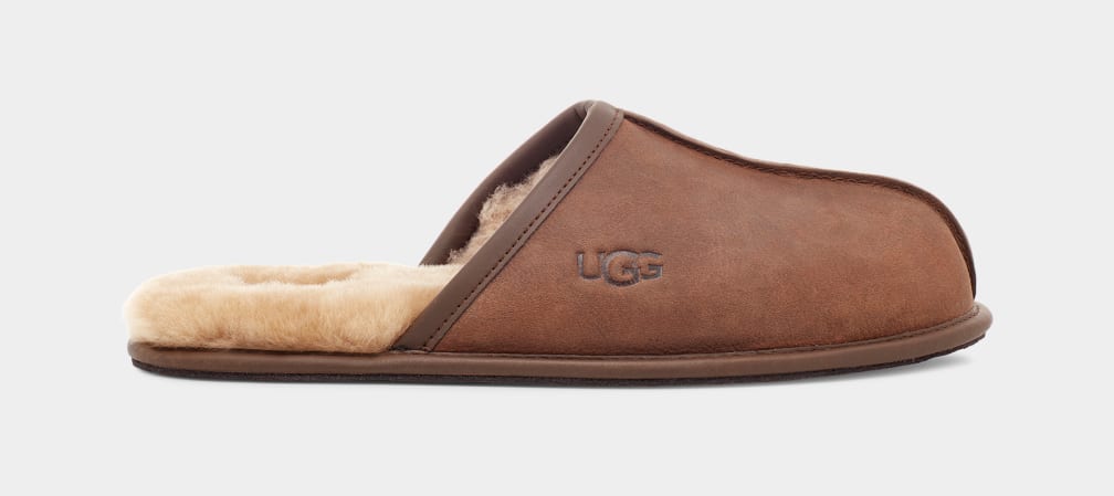 Brown Ugg Scuff Leather Men Slippers | 310892-TOV