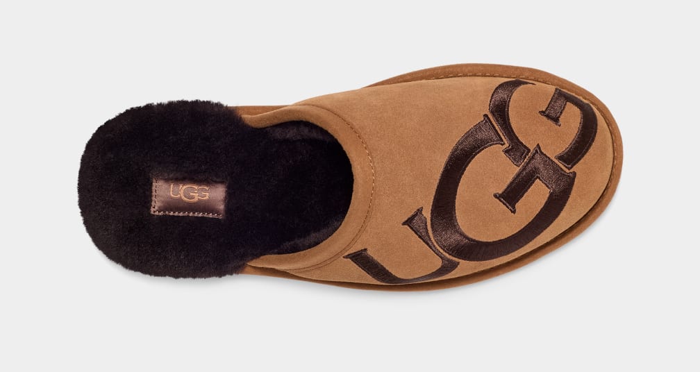 Brown Ugg Scuff Logo II Men Slippers | 708364-FLC