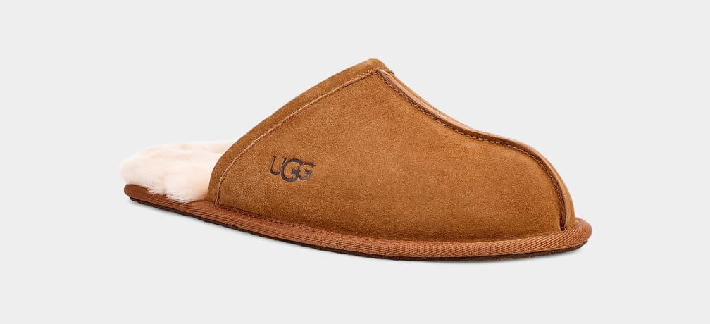 Brown Ugg Scuff Men Slippers | 406389-YQM