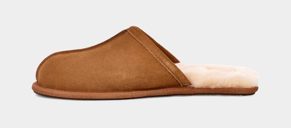 Brown Ugg Scuff Men Slippers | 406389-YQM