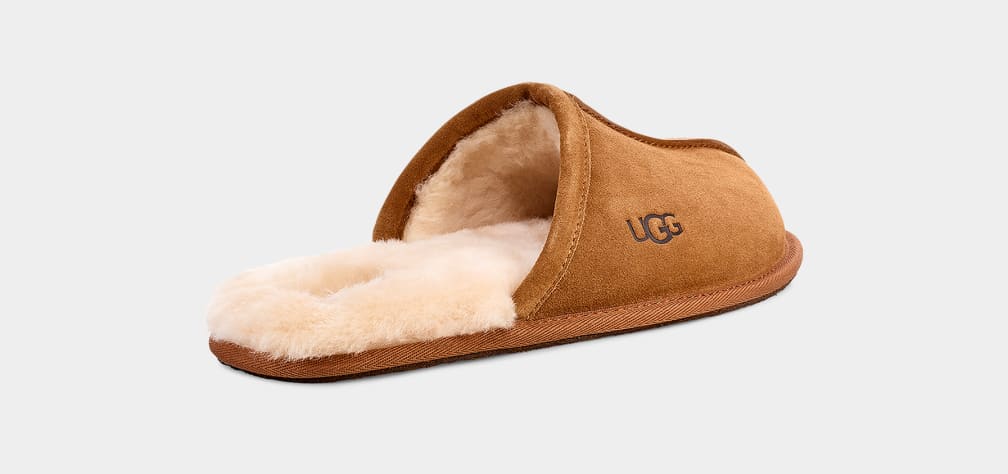 Brown Ugg Scuff Men Slippers | 406389-YQM