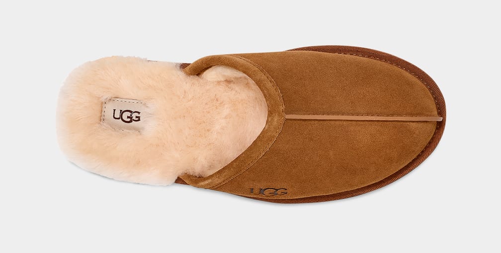 Brown Ugg Scuff Men Slippers | 406389-YQM