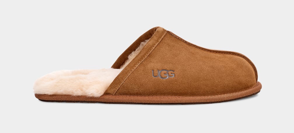 Brown Ugg Scuff Men Slippers | 406389-YQM