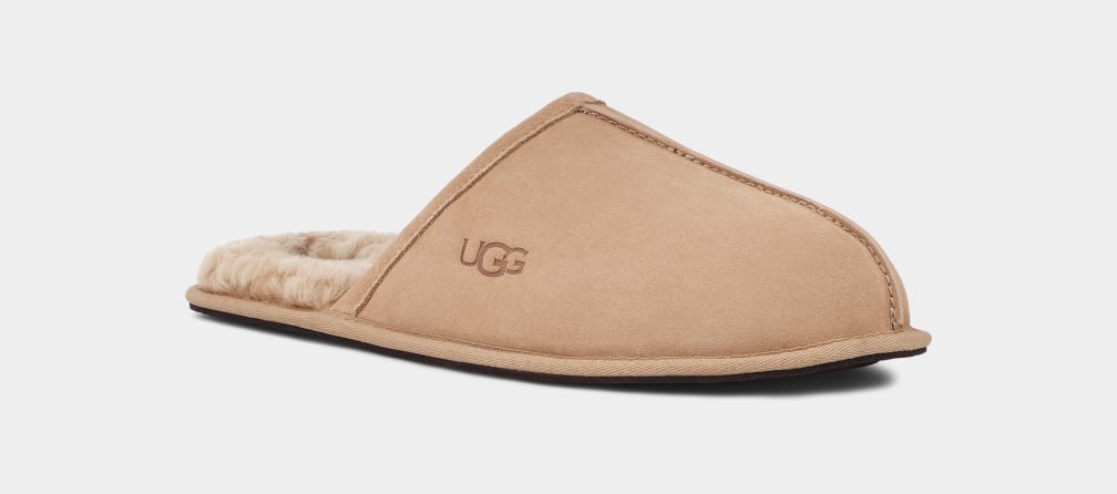 Brown Ugg Scuff Men Slippers | 429837-QFJ