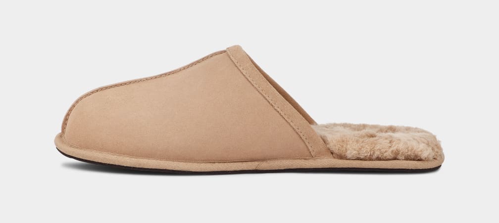 Brown Ugg Scuff Men Slippers | 429837-QFJ