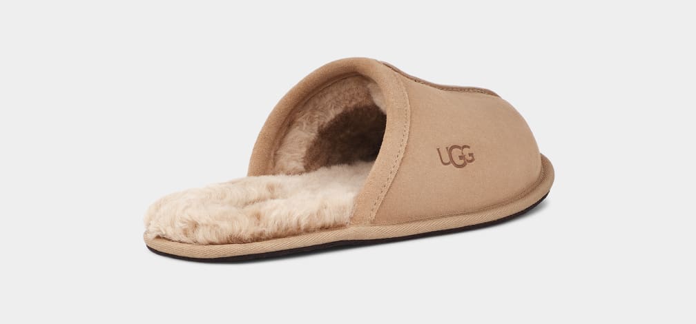 Brown Ugg Scuff Men Slippers | 429837-QFJ