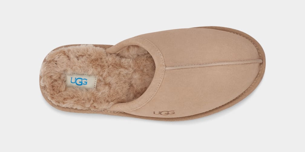 Brown Ugg Scuff Men Slippers | 429837-QFJ