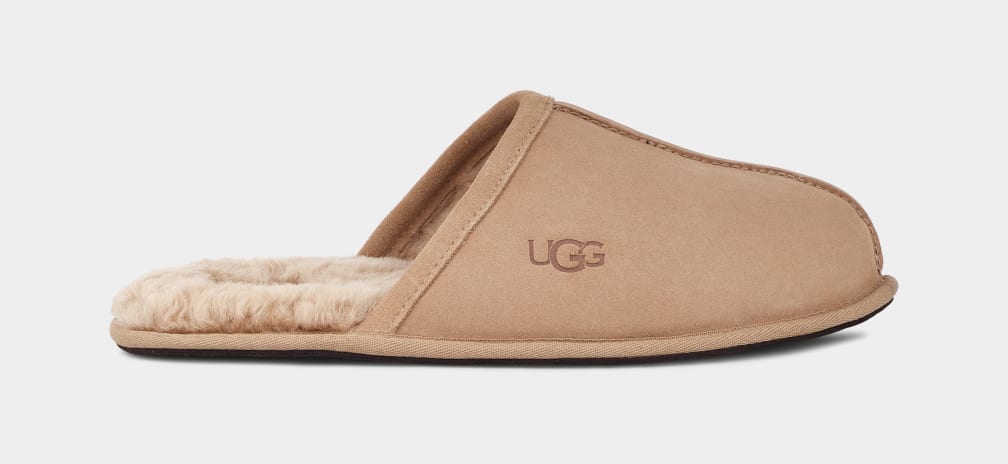 Brown Ugg Scuff Men Slippers | 429837-QFJ