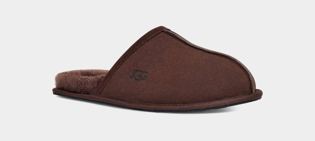 Brown Ugg Scuff Men Slippers | 891472-VDG