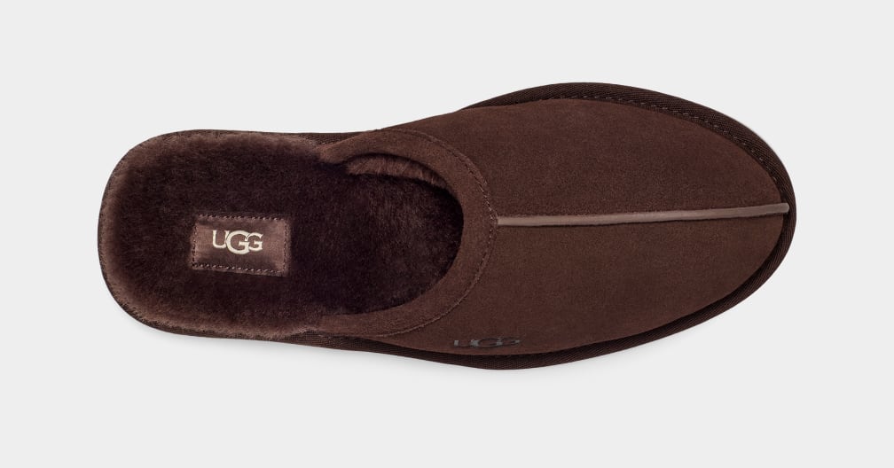 Brown Ugg Scuff Men Slippers | 891472-VDG