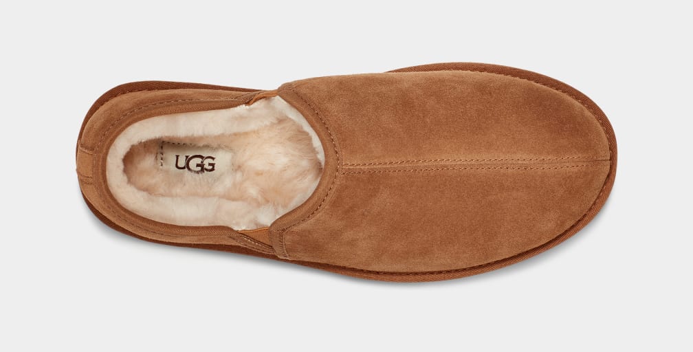 Brown Ugg Scuff Romeo II Men Moccasins | 356798-CNY