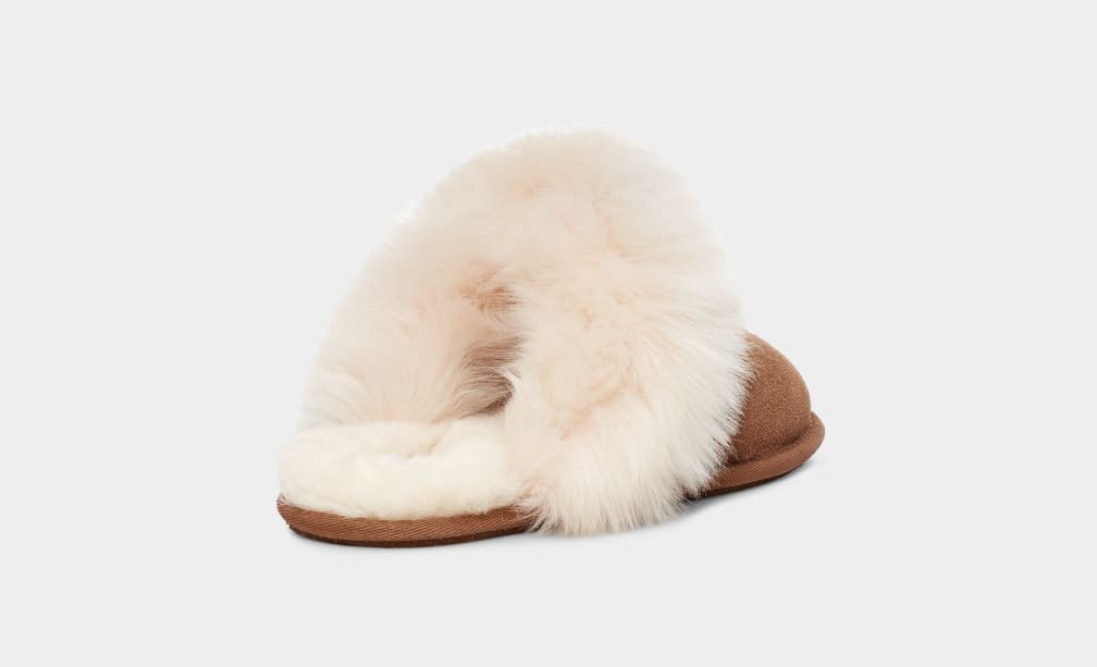 Brown Ugg Scuff Sis Women Slippers | 258306-RQL