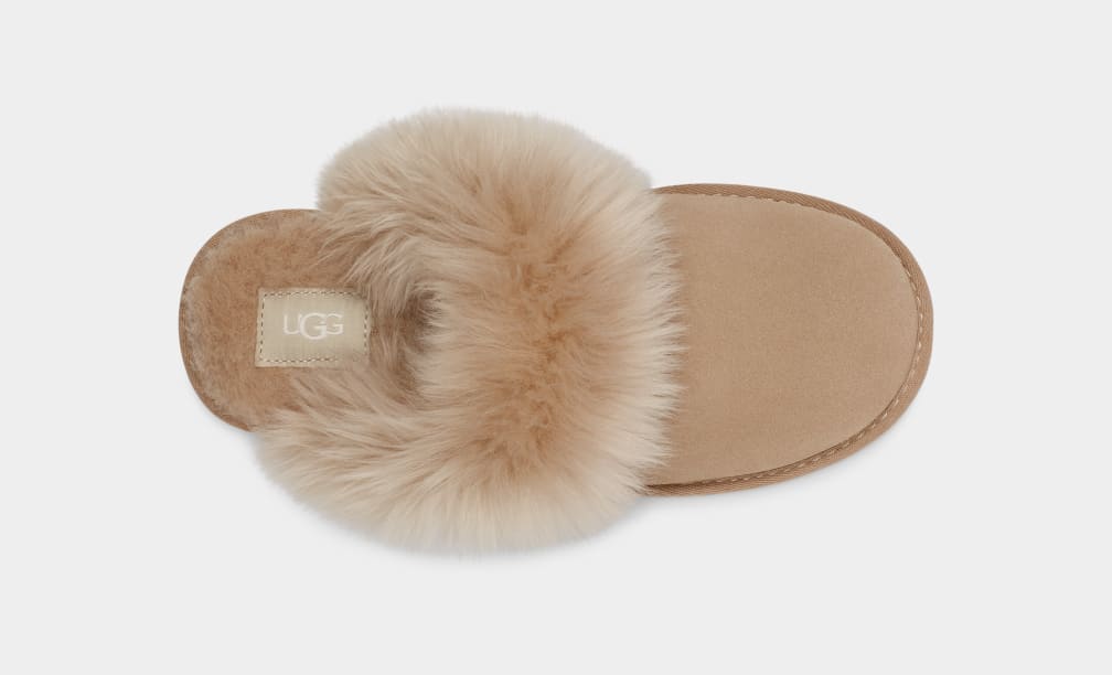 Brown Ugg Scuff Sis Women Slippers | 518307-BQR