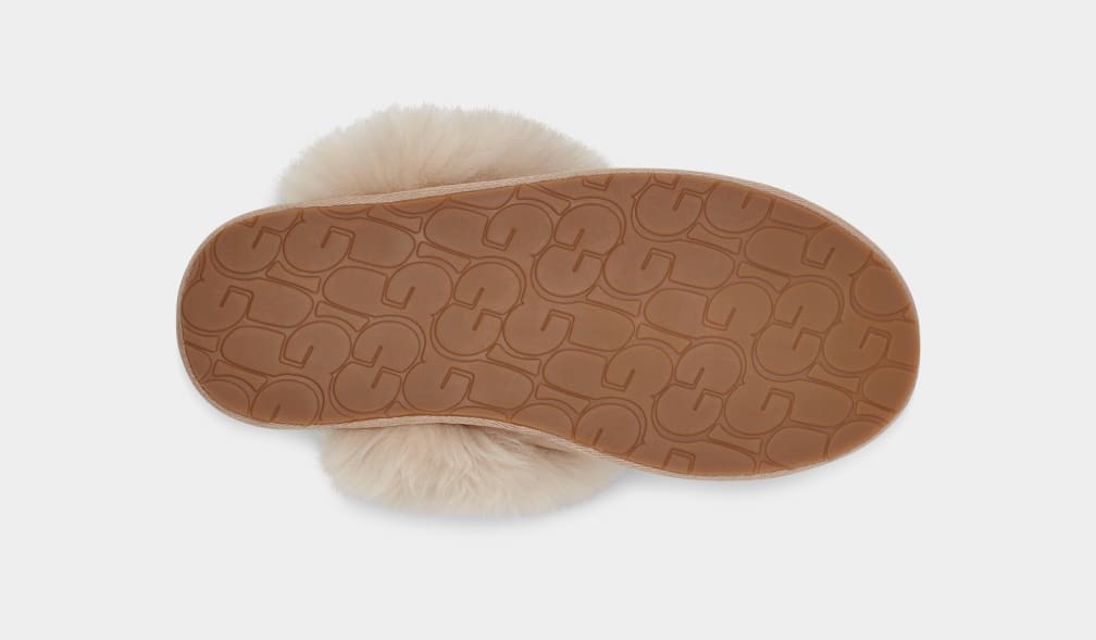 Brown Ugg Scuff Sis Women Slippers | 518307-BQR