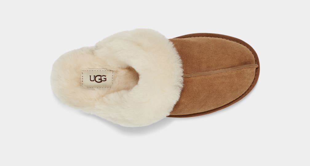 Brown Ugg Scuffette II Women Slippers | 473968-HKC