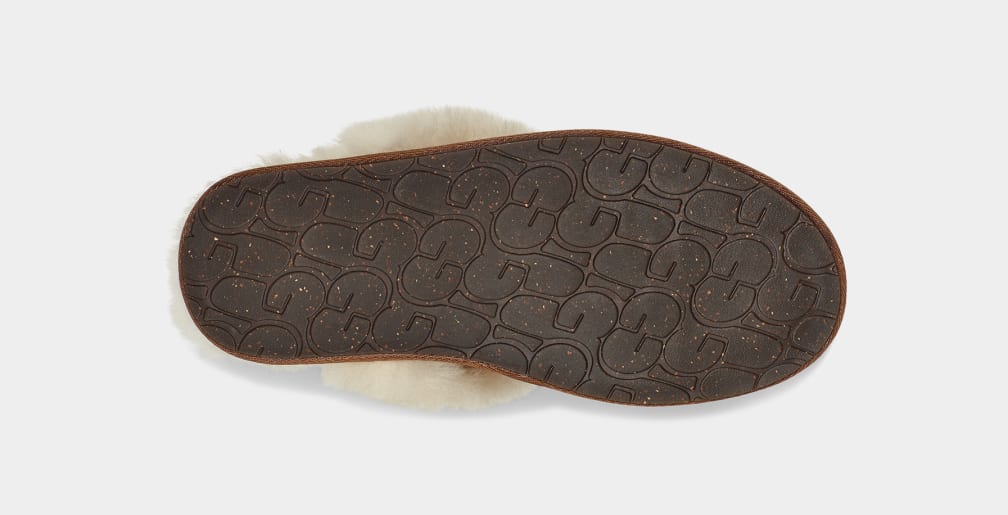 Brown Ugg Scuffette II Women Slippers | 473968-HKC