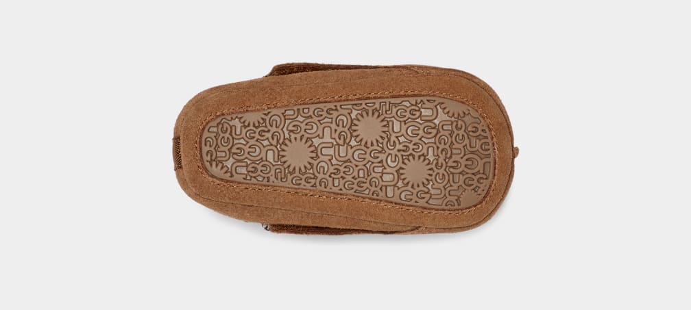 Brown Ugg Tasman And Kids' Slippers | 216543-XDS