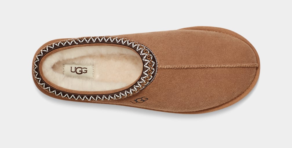 Brown Ugg Tasman Men Slippers | 592870-GCL