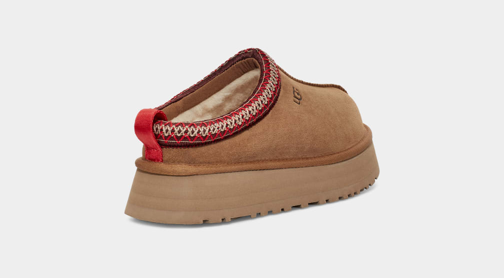 Brown Ugg Tazz Women Slippers | 916074-FGT