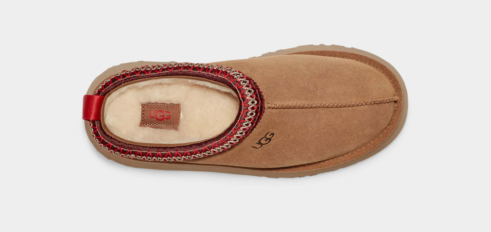 Brown Ugg Tazz Women Slippers | 916074-FGT