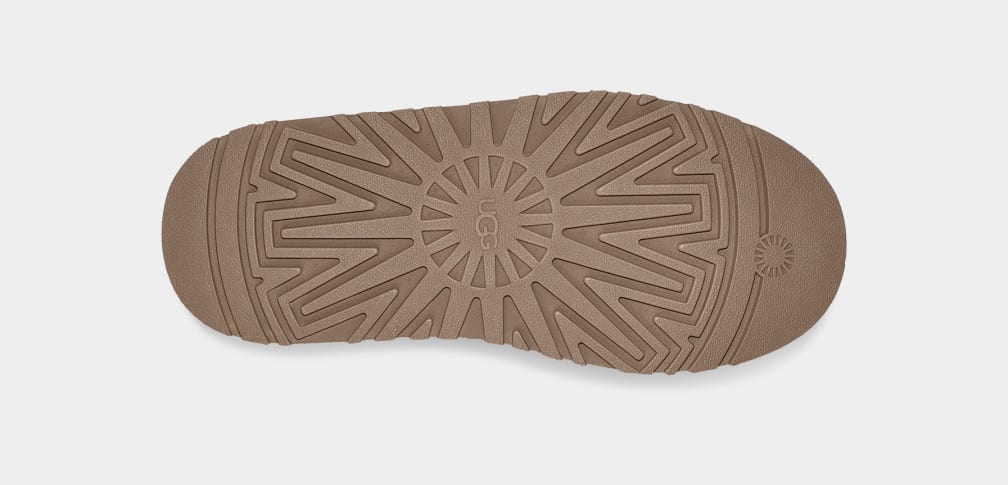 Brown Ugg Tazz Women Slippers | 916074-FGT