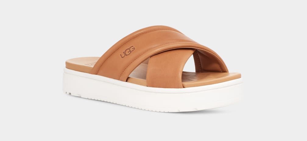 Brown Ugg Zayne Crossband Women Slides | 256071-SLB