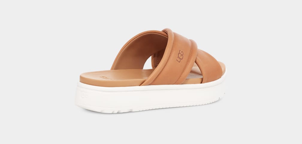 Brown Ugg Zayne Crossband Women Slides | 256071-SLB