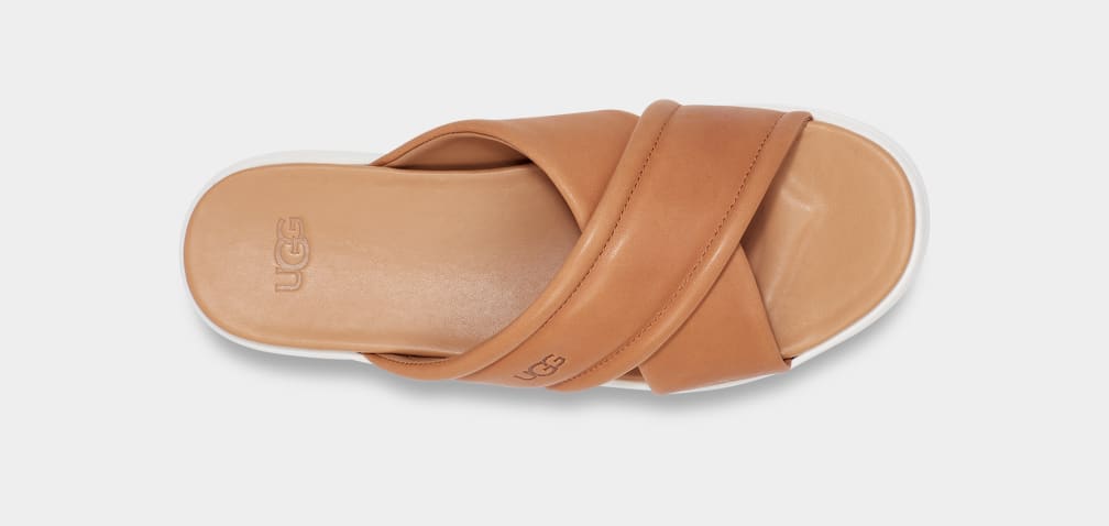 Brown Ugg Zayne Crossband Women Slides | 256071-SLB