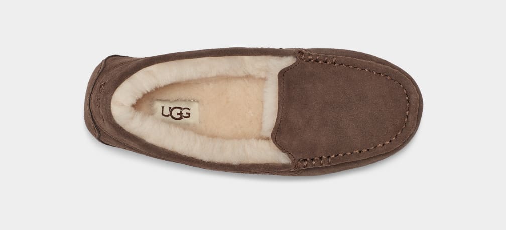 Chocolate Ugg Ansley Women Moccasins | 530829-IFU