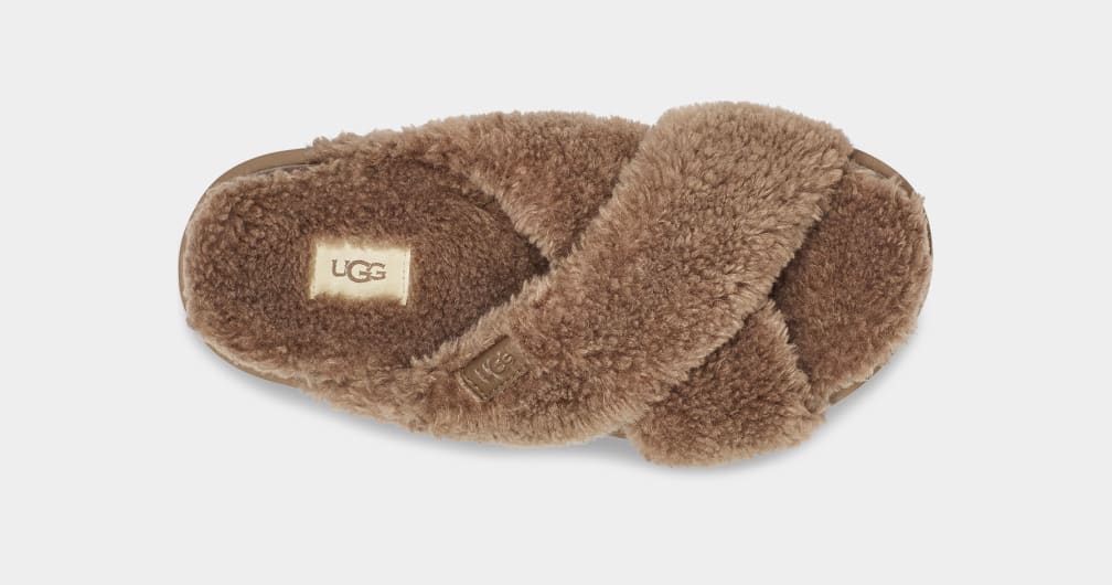 Chocolate Ugg Fuzz Sugar Cross Women Slides | 203589-PIB