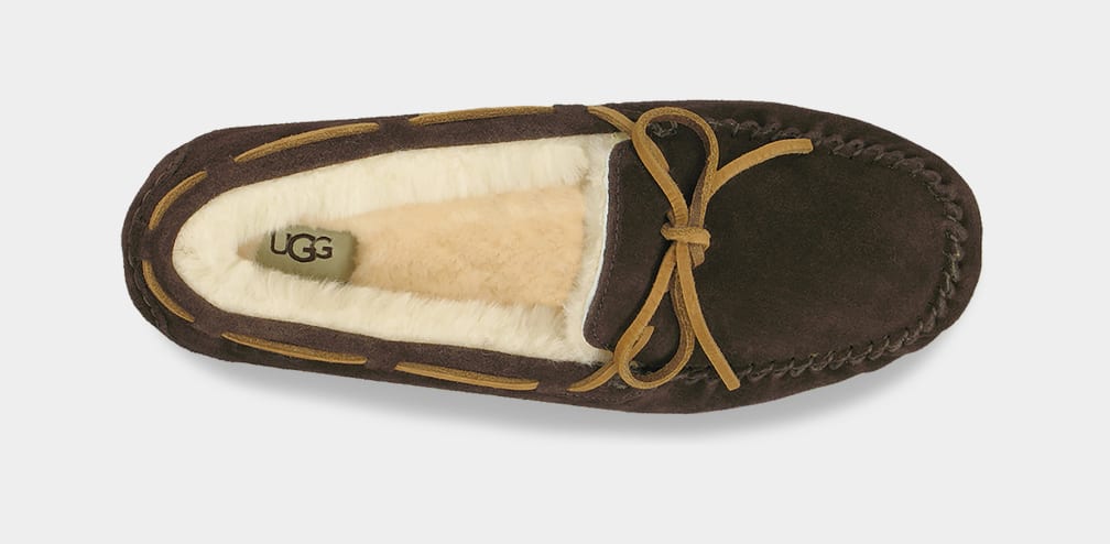 Chocolate Ugg Olsen Men Moccasins | 543827-ECK