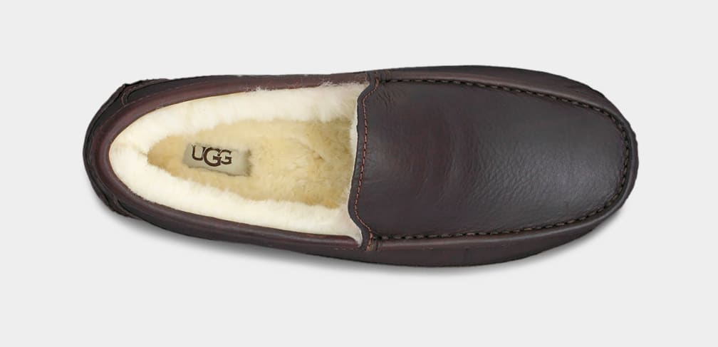 Dark Brown Ugg Ascot Leather Men Moccasins | 432815-YWO