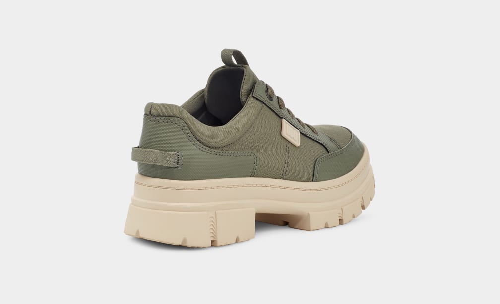 Green Ugg Ashton Hybrid Women Sneakers | 598671-ZXT